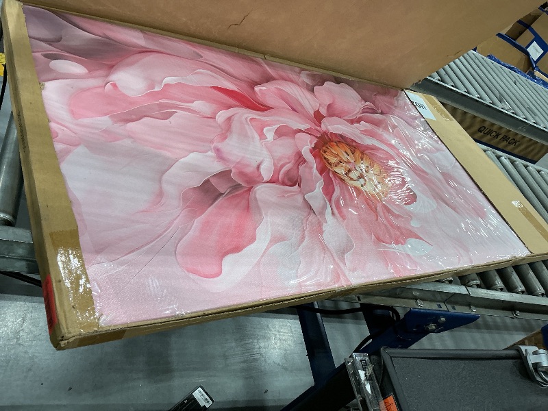 View 3 of Prepeyssee Floral Canvas Wall Art 24x48 Inch