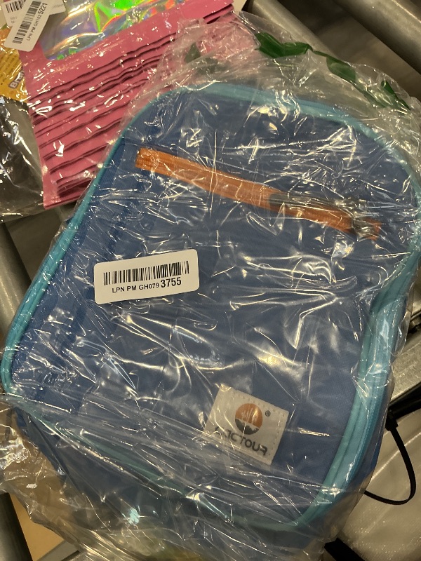 Photo 1 of CaCTOUR Insulated Lunch Bag - Blue