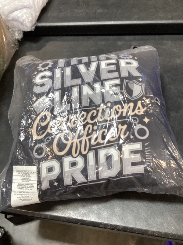 Photo 1 of THIN SILVER LINE PILLOW