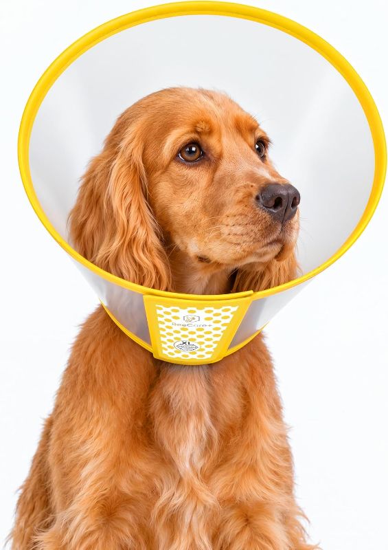 Photo 1 of Adjustable Dog Cone Collar to Stop Licking After Surgery & During Recovery 14-16inch
