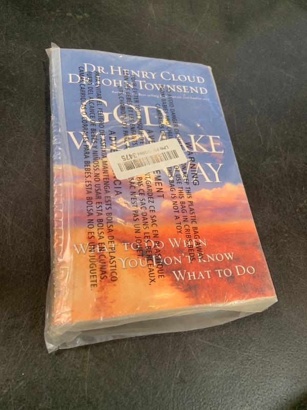 Photo 1 of God Will Make a Way: What to Do When You Don't Know What to Do