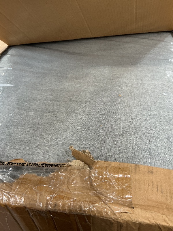 Photo 1 of Skuehod Electric Power Lifting Bed Back Rest