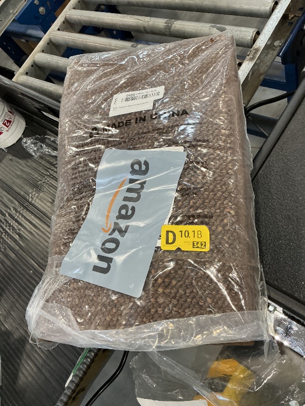 Photo 1 of BEQHAUSE 20"x32" Entryway Rug - Brown
