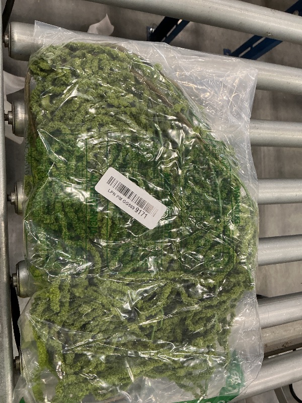 Photo 1 of ACRYCS 2Pcs Hanging Moss Amaranthus Artificial Flowers 29 Inch Green Dried Faux Amaranthus Fake Moss Vines Garland Stems for Wedding Arch Bouquet Floral Arrangement Wall Hanging Mantle Home Decor