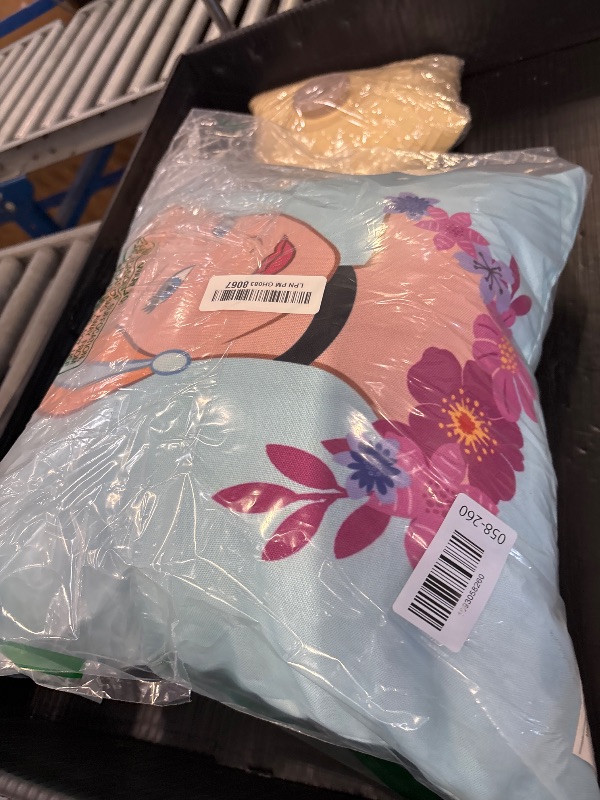 Photo 1 of Disney Princess Cinderella Costume Throw Pillow