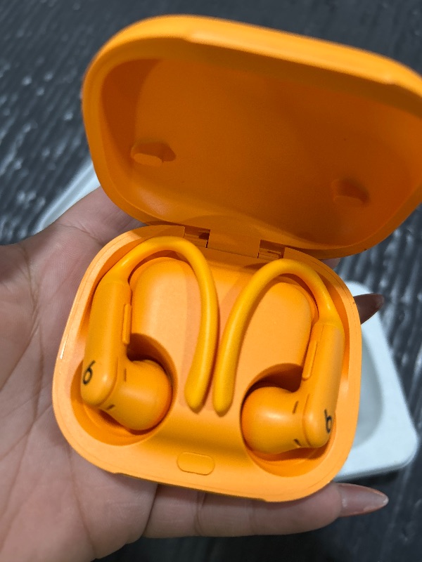 View 2 of Beats Powerbeats Pro 2 Wireless Earbuds