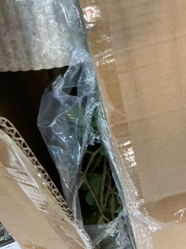 View 3 of FEELEAD 7ft Faux Black Olive Tree