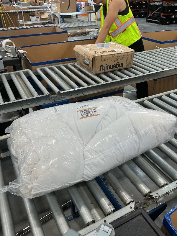 Photo 1 of Amazon Basics Down Alternative Bed Pillows, Soft Density, Standard White 2-Pack