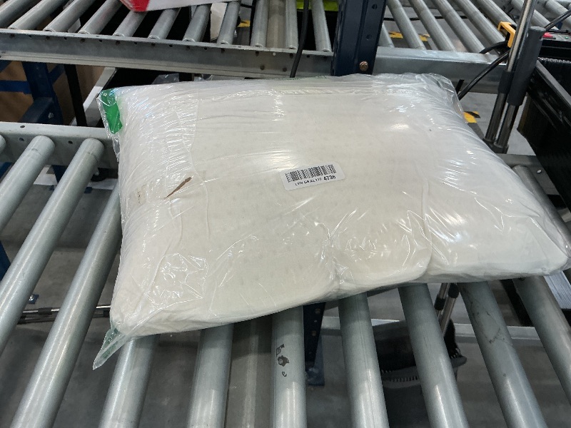 Photo 1 of ORHETVE Talalay Latex Pillow - Standard