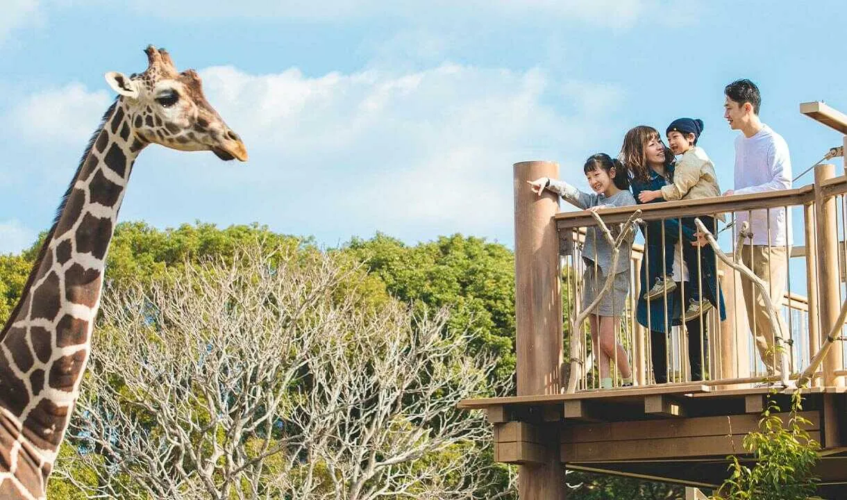 豊橋総合動植物公園 のんほいパーク