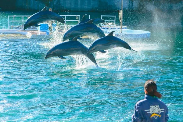 下田海中水族館