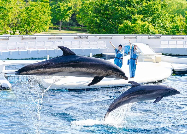 京都水族館
