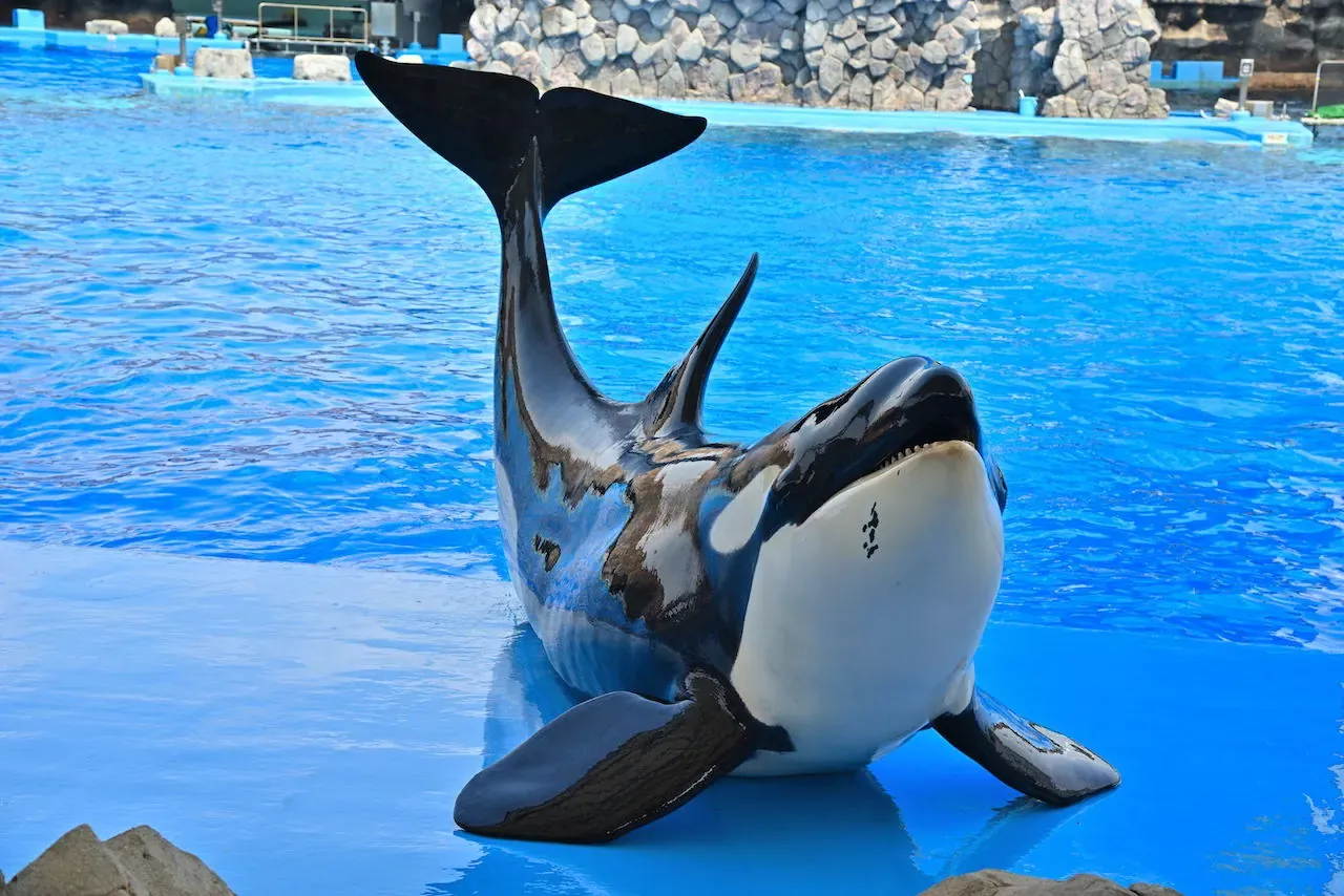 名古屋港水族館
