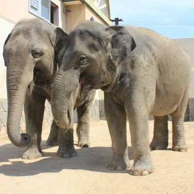徳山動物園