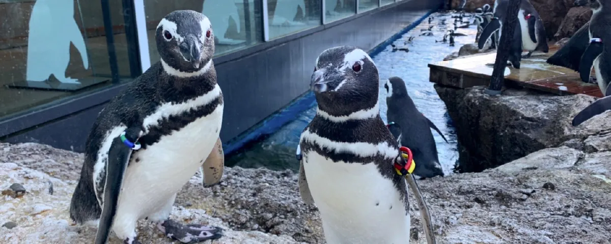 上越市立水族博物館うみがたり