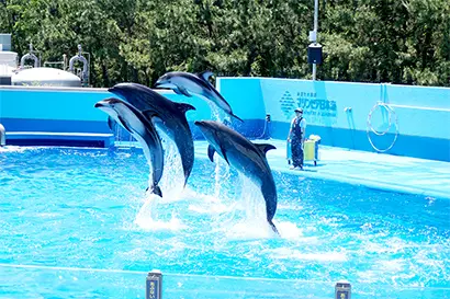 新潟市水族館 マリンピア日本海