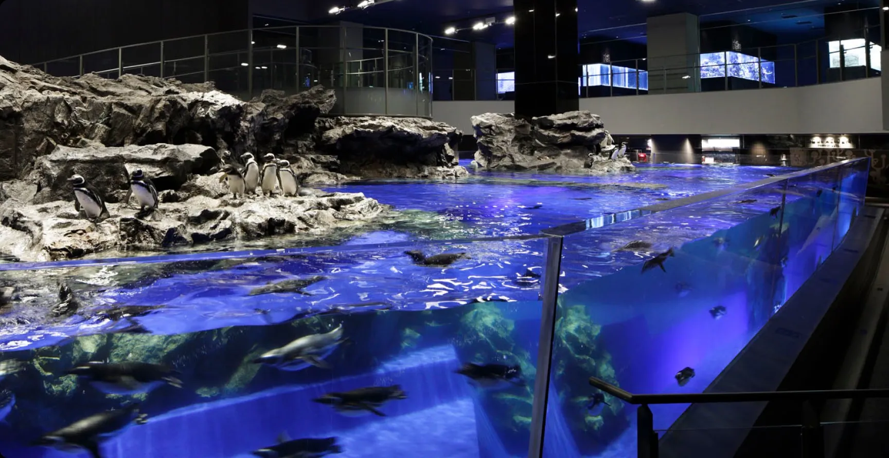 すみだ水族館