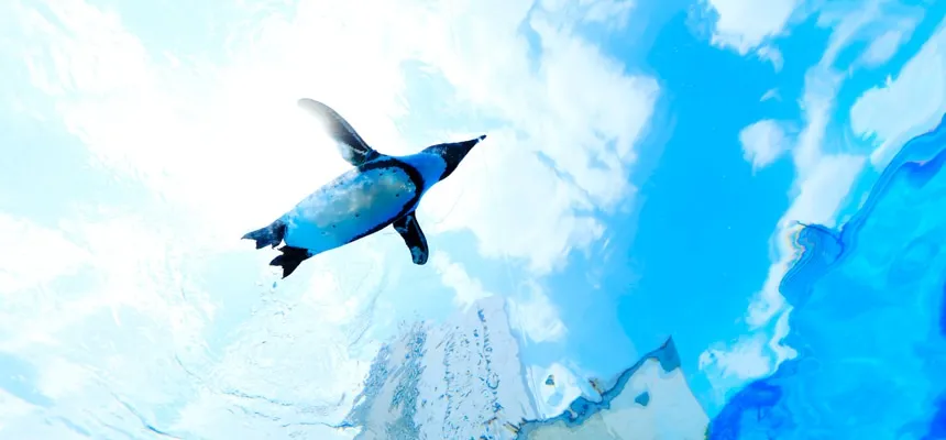 サンシャイン水族館