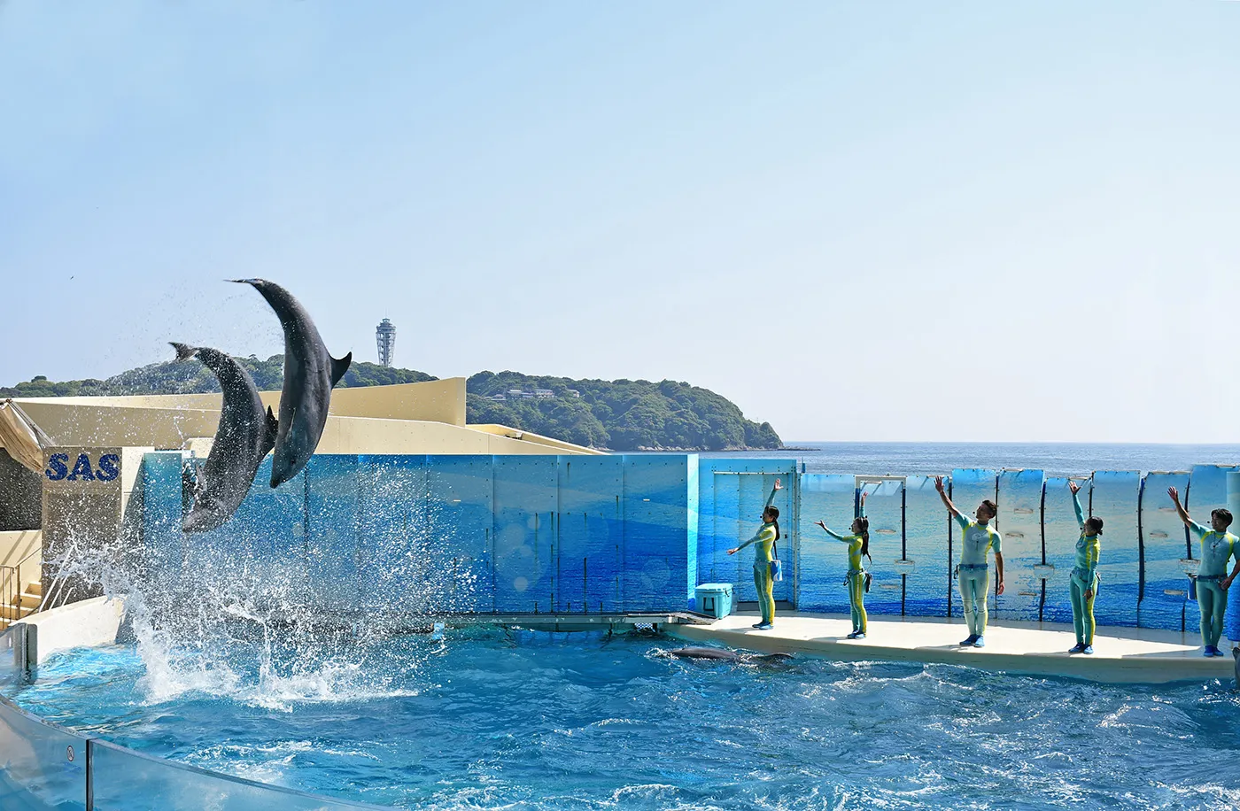 新江ノ島水族館