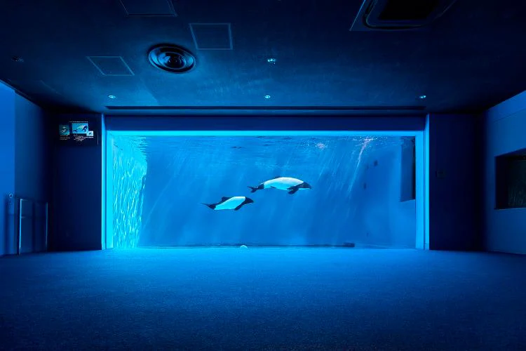 仙台うみの杜水族館