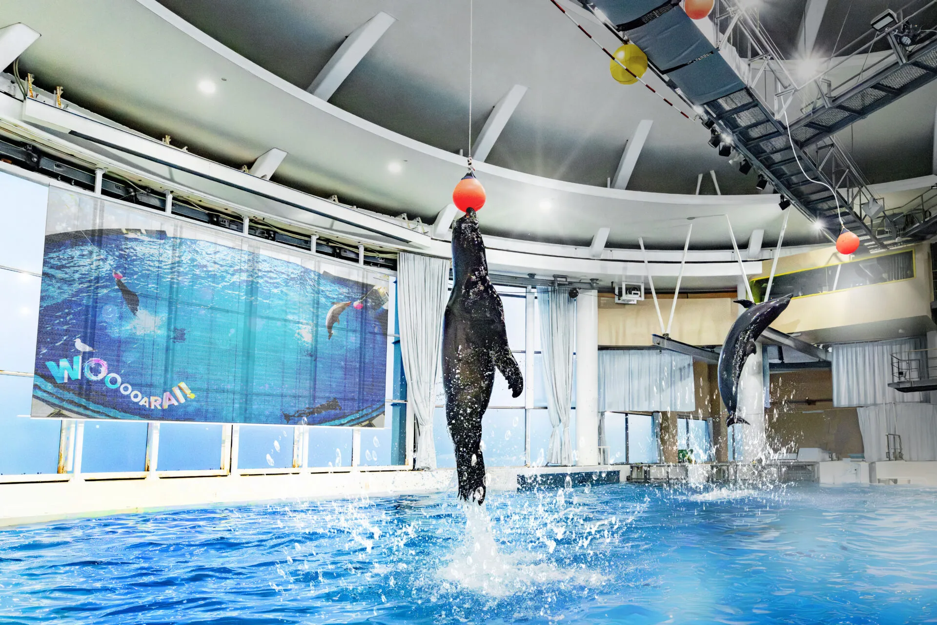 アクアワールド茨城県大洗水族館