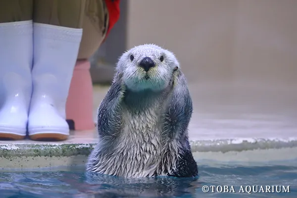 鳥羽水族館