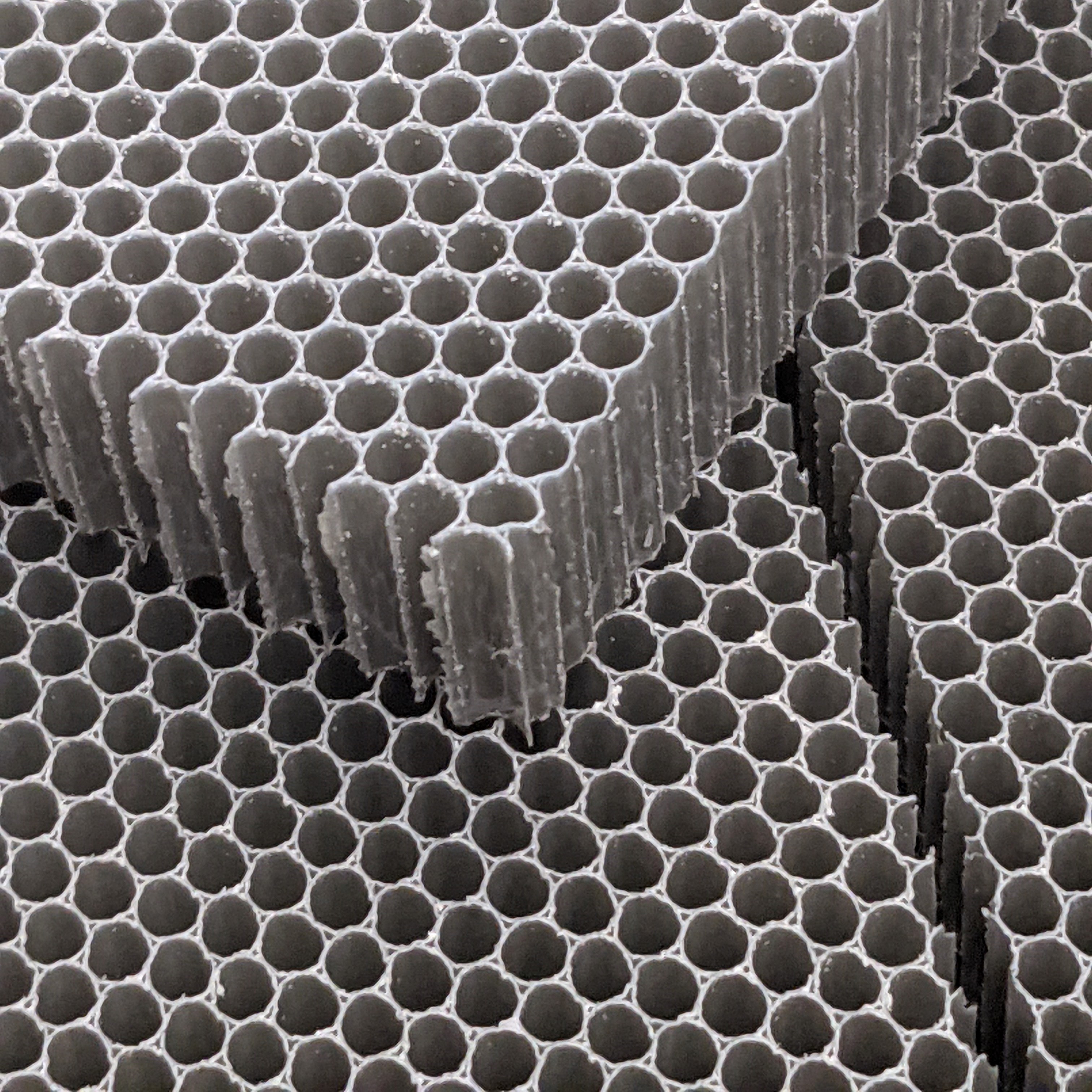 ภาพของ Polypropylene (PC) Honeycomb 