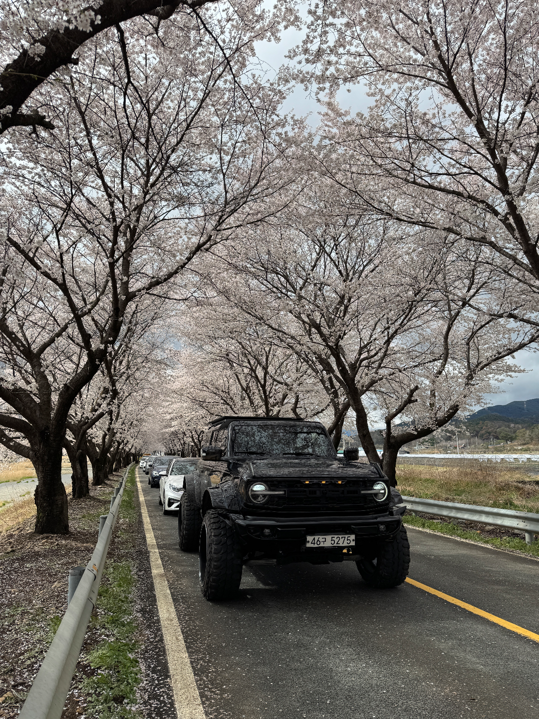 포드 브롱코