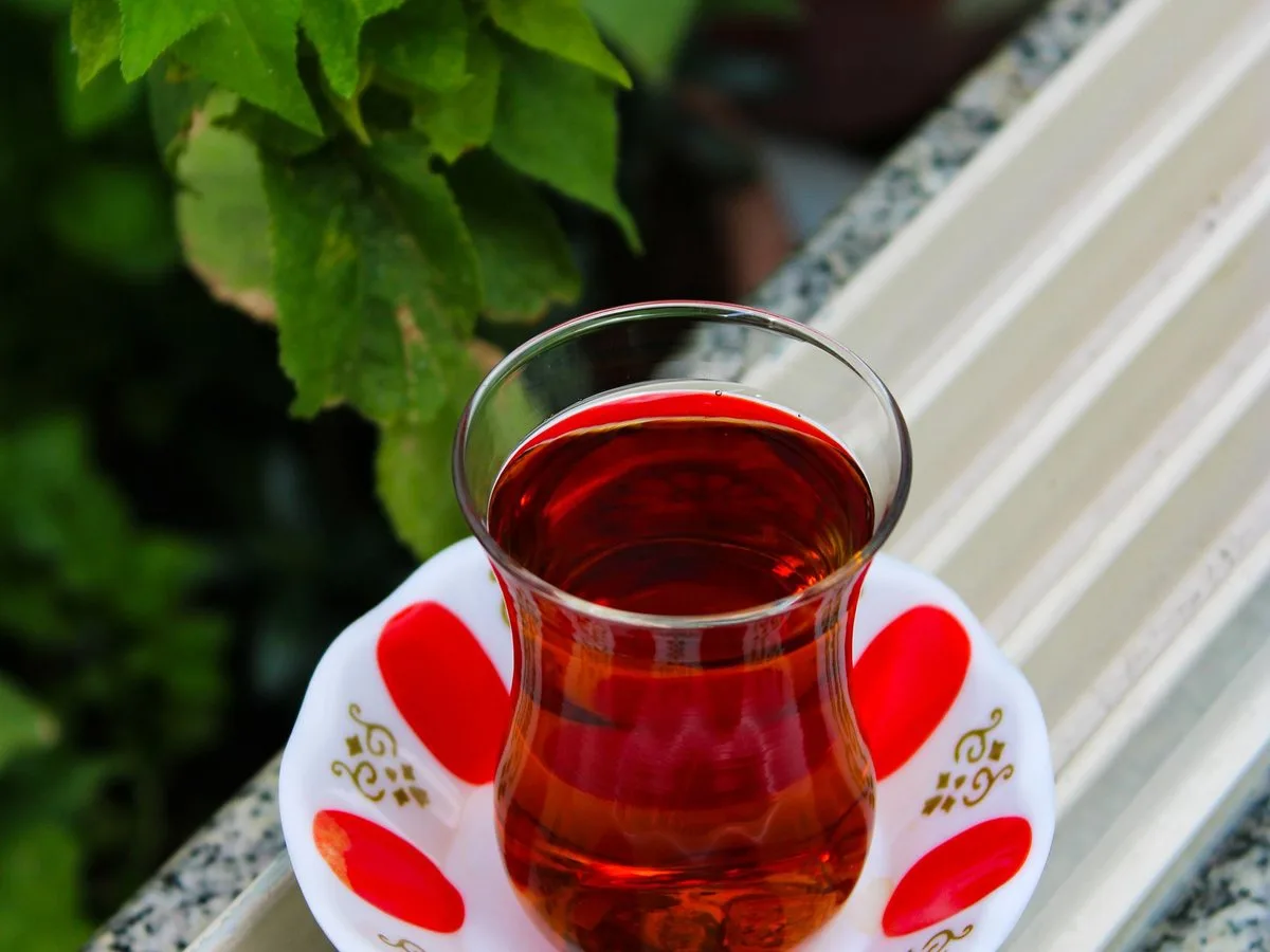 Ulaş Usta — Fotoğraf 4