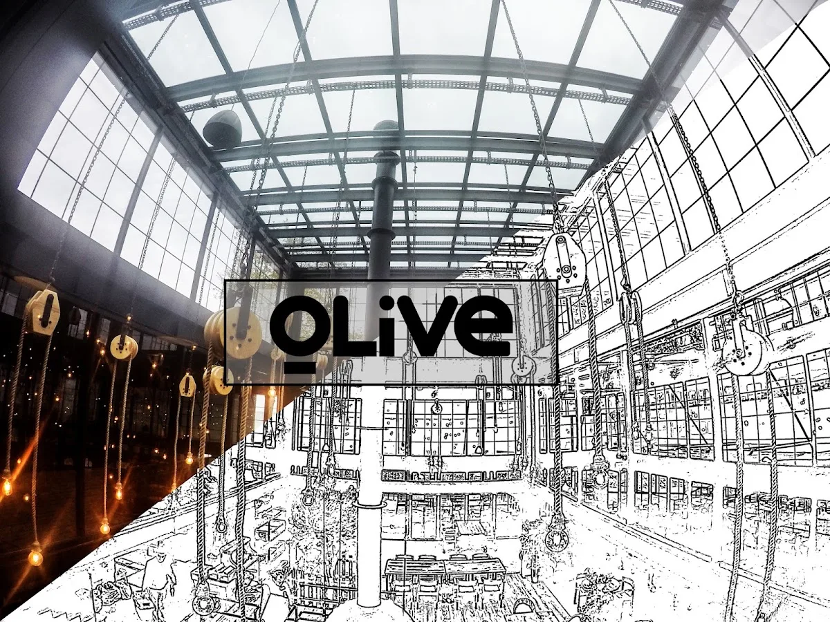 Olive Cafe & Restaurant — Fotoğraf 1