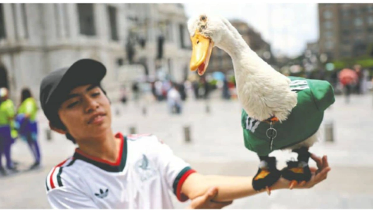 Merlin the duck wearing a Mexico national football team jersey