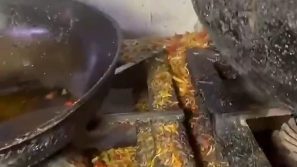 Unhygienic kitchen conditions representing expired and adulterated food seizure in Jahra
