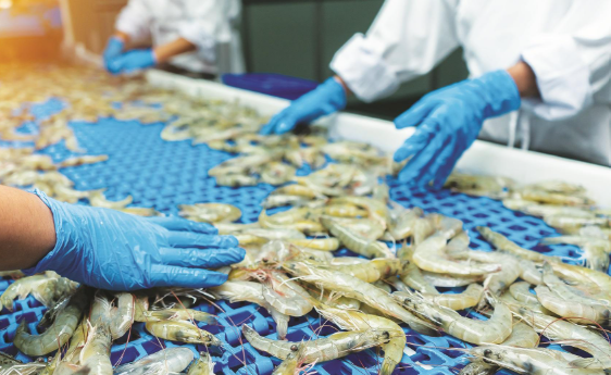 Rights-cleared topic image for india-seafood-exports-record-kerala-growth