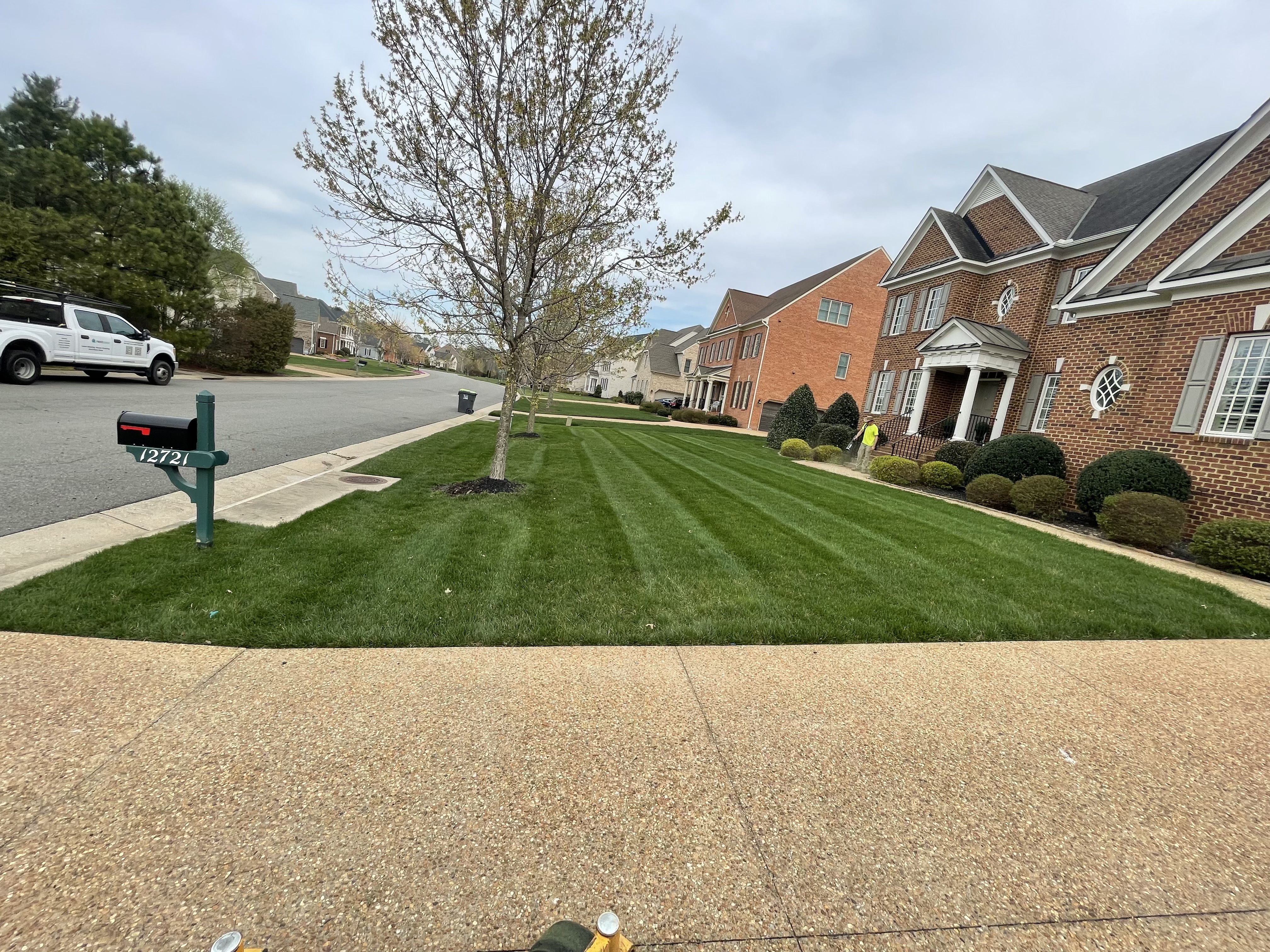 Love these lawns? nestease!