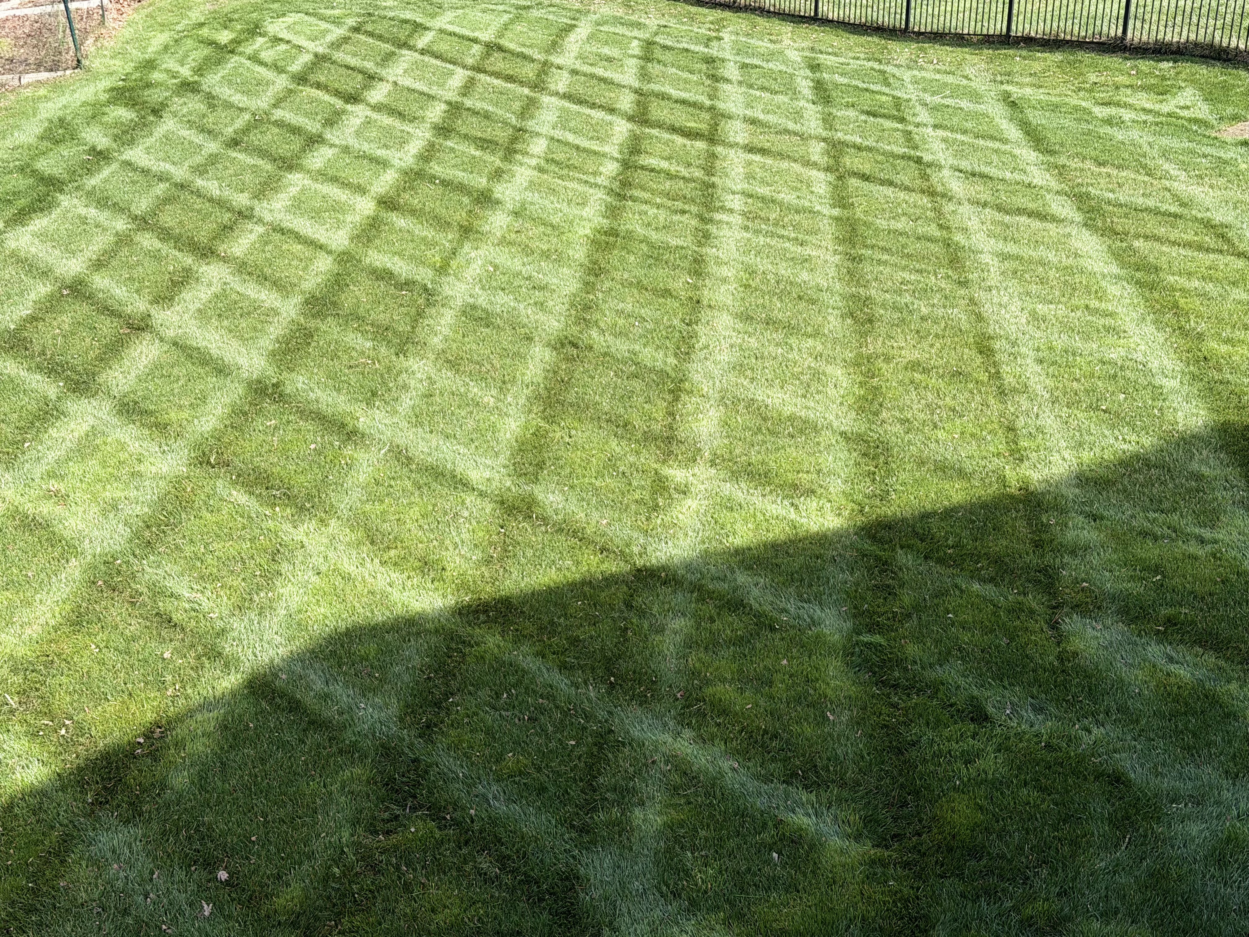 Diamonds with nestease!