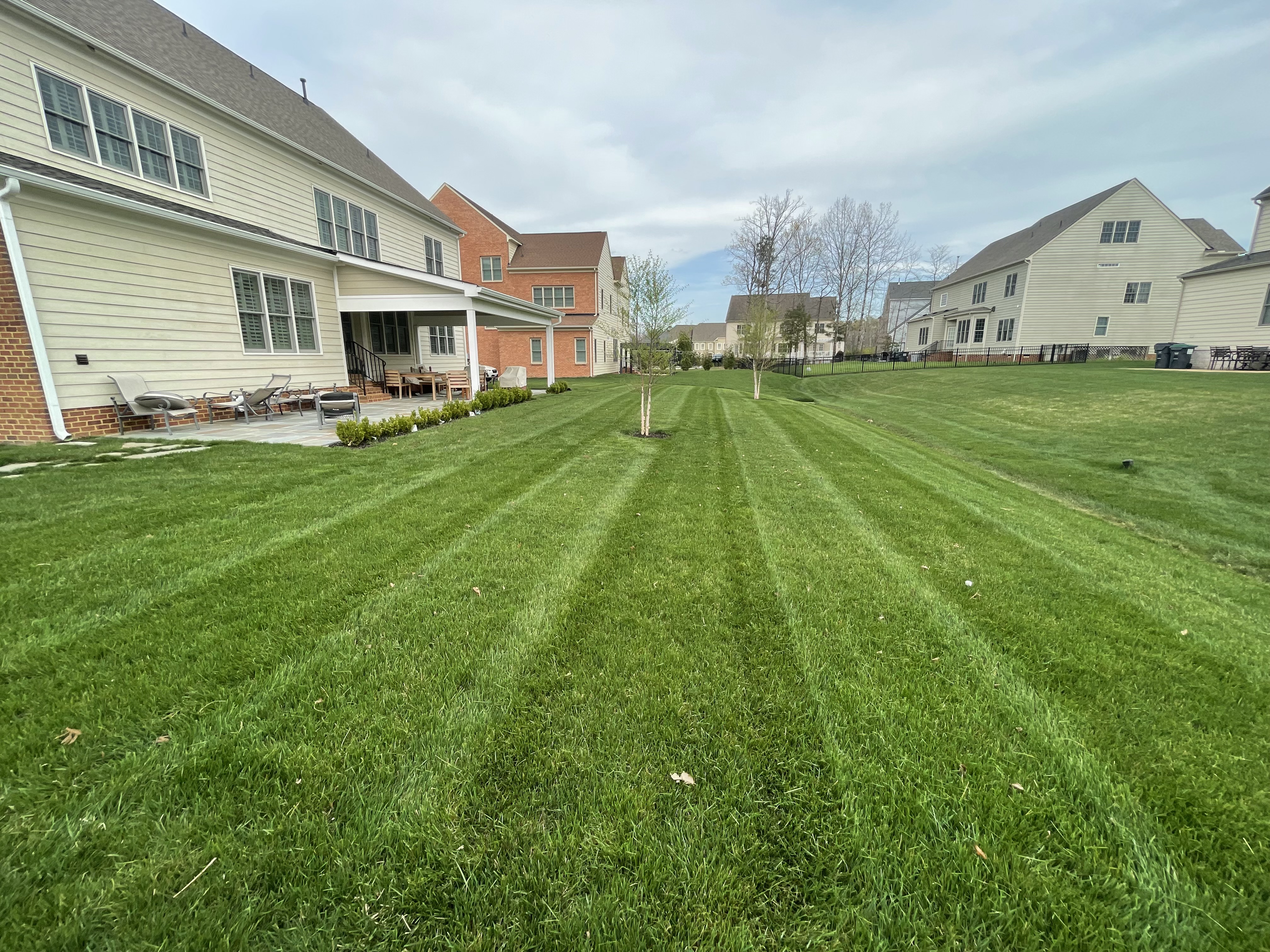 Modern House with Landscaping