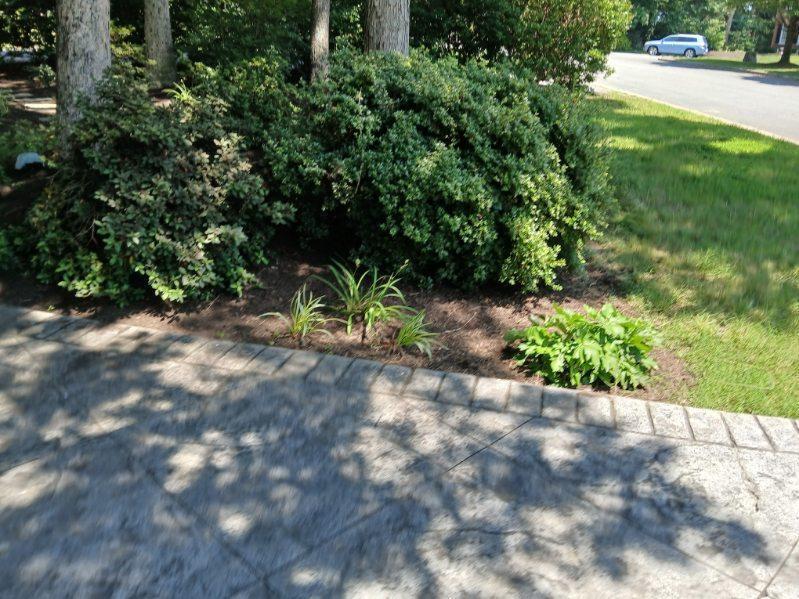 Beautiful Residential Property