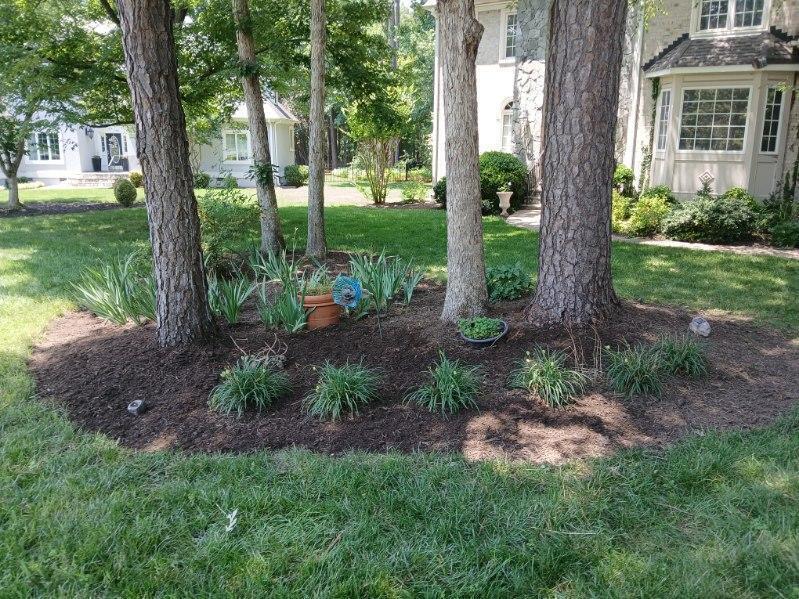 Modern House with Landscaping