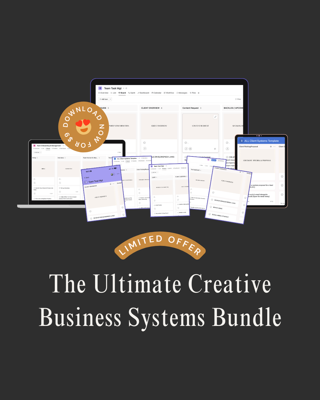 The Ultimate Creative Business Systems Bundle - Uchechi Ihuomah