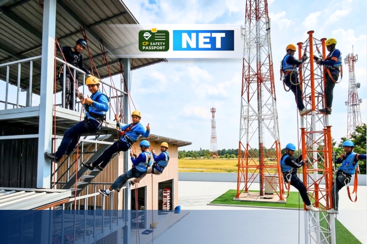 ผู้รับเหมา CP