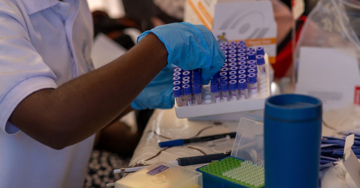 A healthcare professional organizing test tubes in a lab, focusing on precision and care.