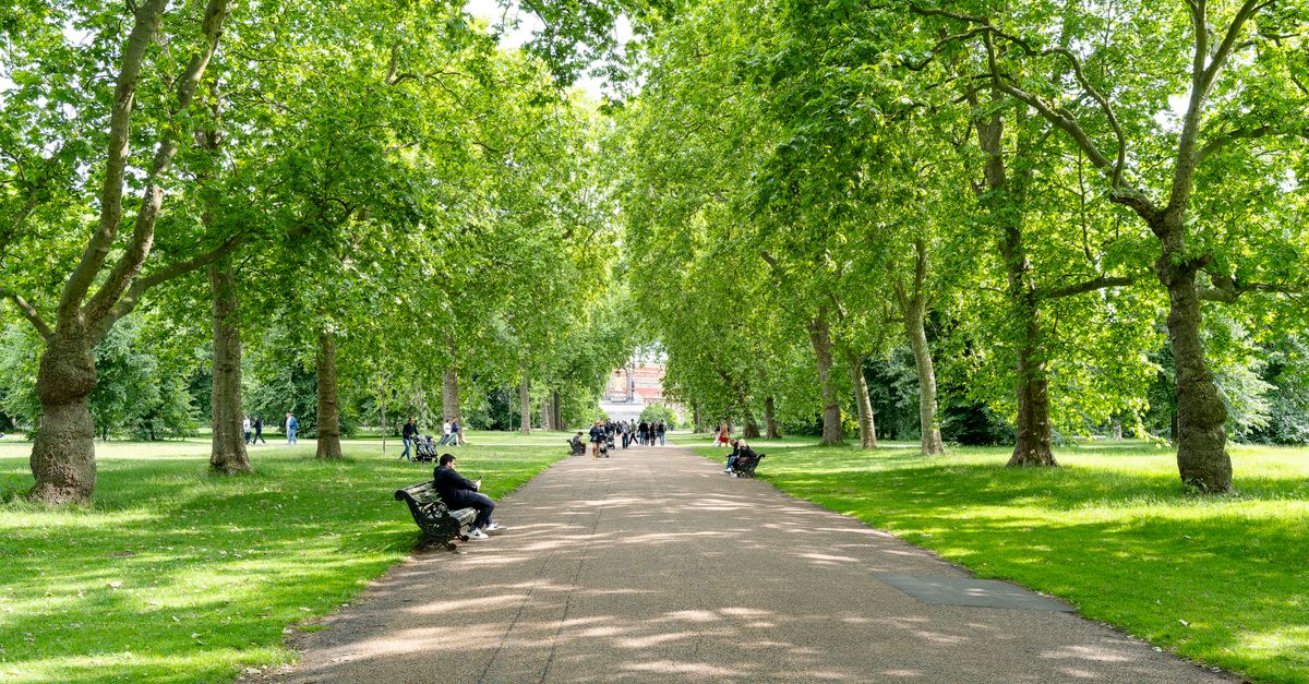 A peaceful summer day in a London park with benches and lush green trees lining a pathway.