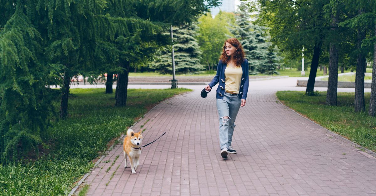 A woman enjoys a leisurely walk with her Shiba Inu in a scenic park pathway.