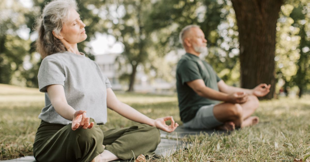 Elderly couple practicing meditation on yoga mats in a serene park setting.
