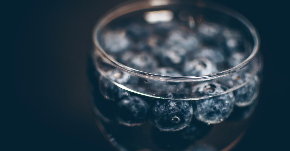 Close-up of fresh blueberries submerged in water inside a clear glass.