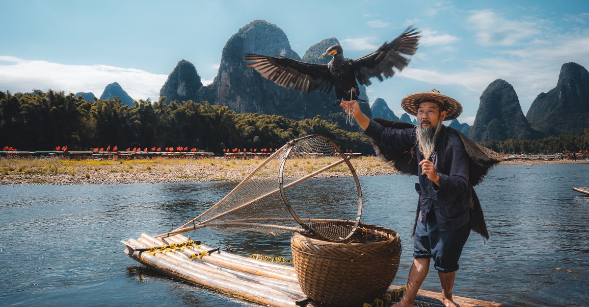 An elderly fisherman guides his cormorant on the river in Guilin's stunning landscape.