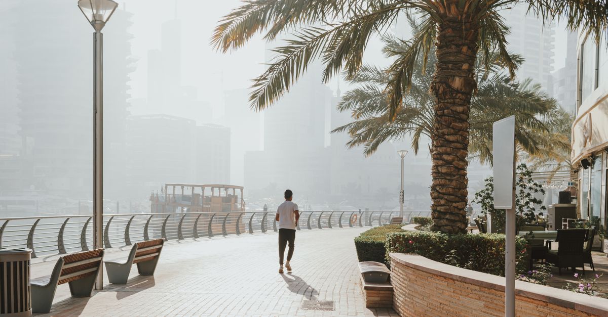 A person jogging along the scenic Dubai Marina promenade lined with palm trees.