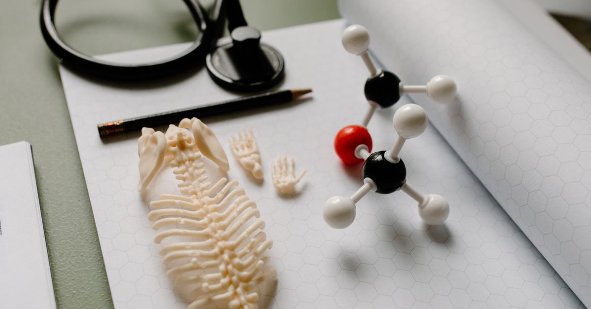 Flat lay of a skeleton model, molecule structure, and stethoscope on hexagon graph paper for educational purposes.