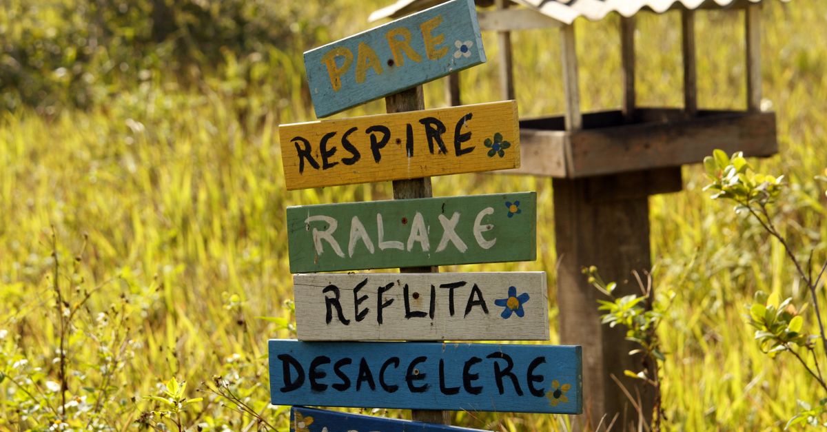 A vibrant wooden sign with inspirational messages in a lush Guaratuba field, Brazil.