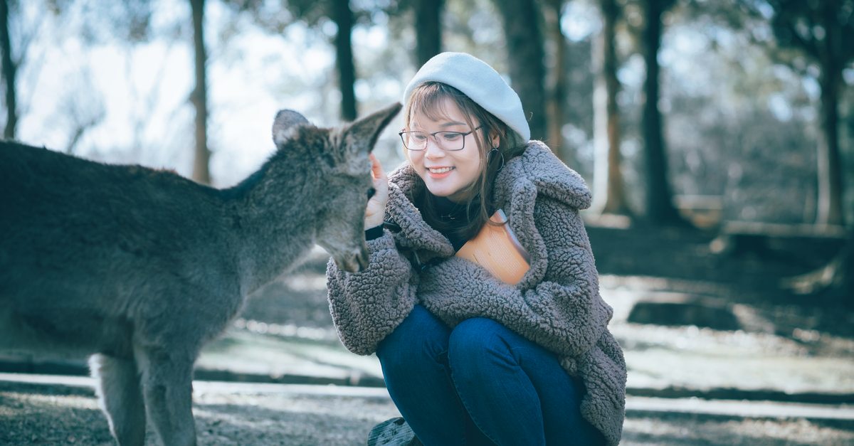 Smiling woman in warm clothing lovingly interacting with a deer in an outdoor park.